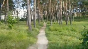 Украина!!!Озёрное-Житомир.
