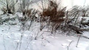 про Барнаульское депо №1  Барнаула