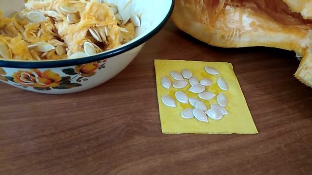 Делаем свои семена тыквы смотреть онлайн