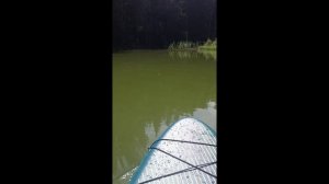 Жестокая смерть олигарха. Или усадьба Гагарина на Истринском водохранилище.