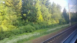 Семхоз-Тайнинская на ЭД4М-0163 часть 1