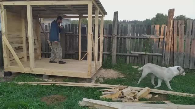 Вольер для алабайки Айлы