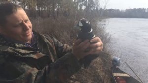 Рыбалка на ульме дальний восток