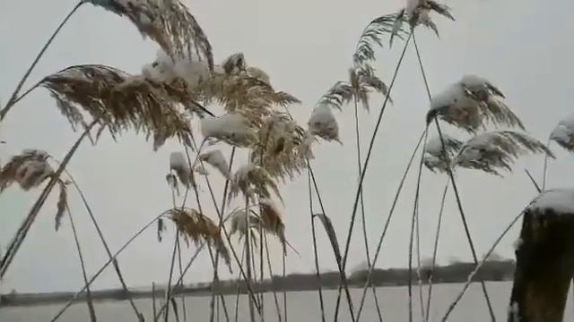 ст. Котляревская ,,Три дороги Три пути " смотреть онлайн