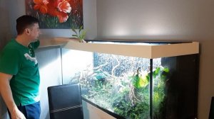 Посадка растений в аквариум (3). Травник. Запуск растительного аквариума Juwel 450л. с нуля. Часть