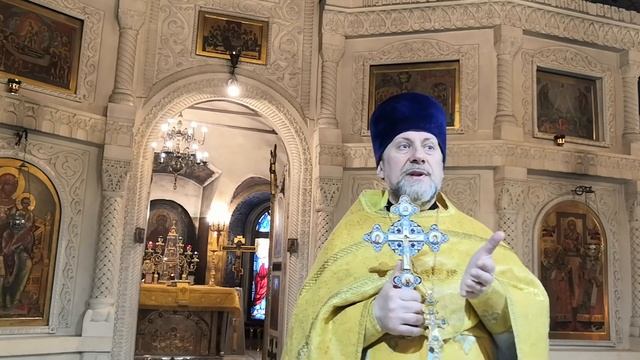 Проповедь о.Димитрия в неделю о Закхее смотреть онлайн