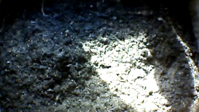 From Internet Camera(Turmfalken[03:1A:A5])2014/07/06,18:17:22_D смотреть онлайн