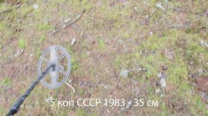АКА Сигнум МФТ - тест глубины с двухчастотной катушкой 12"х9", 7-14 кГц