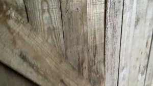 Кормление овец в зимне-стойловый период