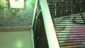 Зубная фея подарила подарок!? TOOTH FAIRY ?