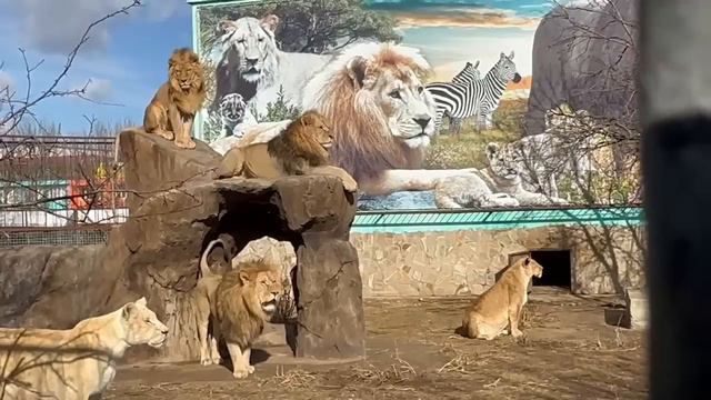 Роскомнадзор заинтересовался фёдоровской группой,!Друзья, давайте ПОМОЖЕМ этой службе разобраться смотреть онлайн