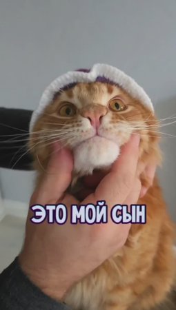 А у вас есть такой ребенок?? #животные #котики #ребенок #любовь