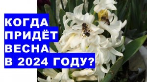 Когда придёт ВЕСНА в 2024 году? When will SPRING come in 2024?Weather forecast for spring 2024