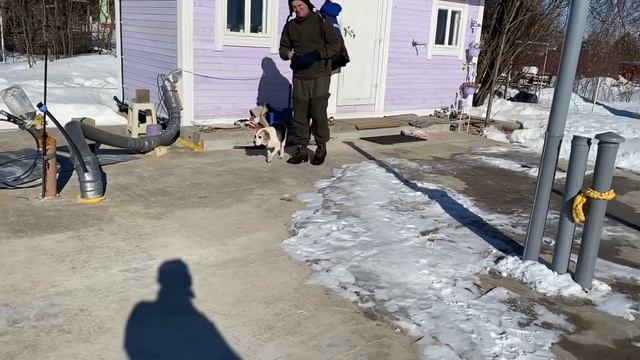 11.03.22. Ещё одна площадка под кирпич готова! Осталась не чищенной только дорога. смотреть онлайн