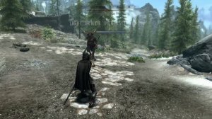 Skyrim: I like fighting these creatures