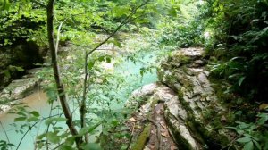 Экскурсии Сочи! Каньон "Псахо"