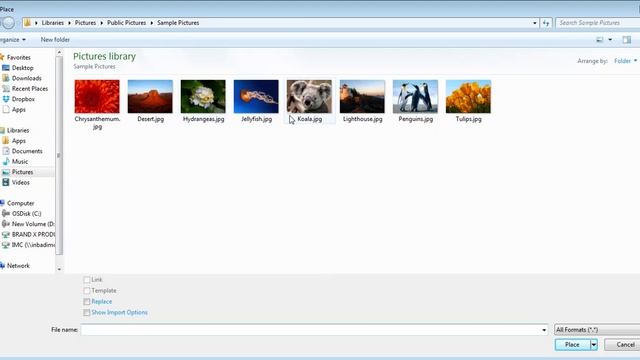 How to Import JPEG file in Adobe Illustrator смотреть онлайн
