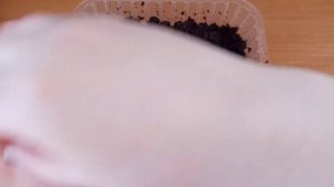 ПОСЕВ ЛУКА ЭКСИБИШЕН НА рассаду БЕЗ дальнейшей ПИКИРОВКИ!!!