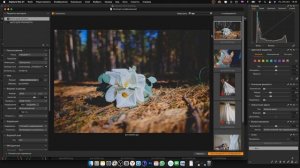 Capture One проблемы экспорта и порядка фото