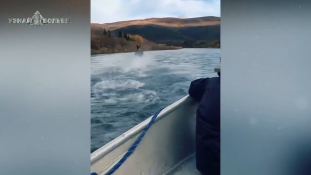 Их Засняли на Камеру Видеонаблюдения! Подборка Невероятных Моментов смотреть онлайн