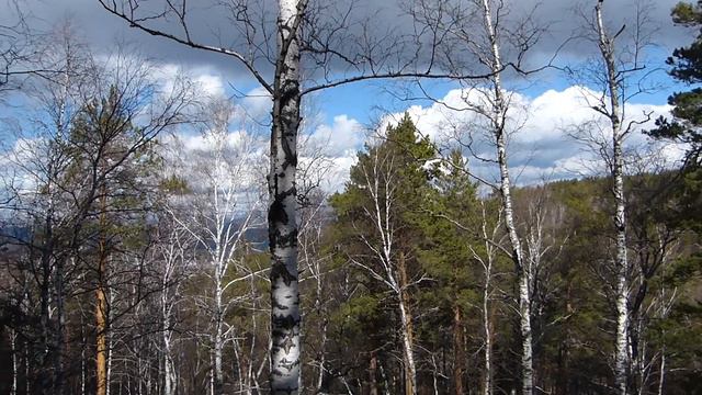 Пасха и телевышка смотреть онлайн