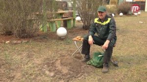 Во саду ли, в огороде 10.05.2019