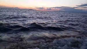 Море в Питере = Финский Залив в Санкт-Петербурге