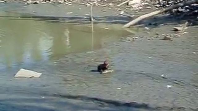 Ловля рыбы в Астрахани. смотреть онлайн