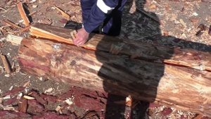 Раскалывание бревна на плахи / Борис Яровой. Мастер-класс