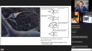 Как прокачать мозг? Нейробиолог Илья Мартынов