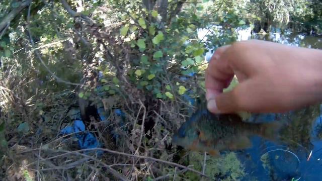 рыбалка турунчук смотреть онлайн