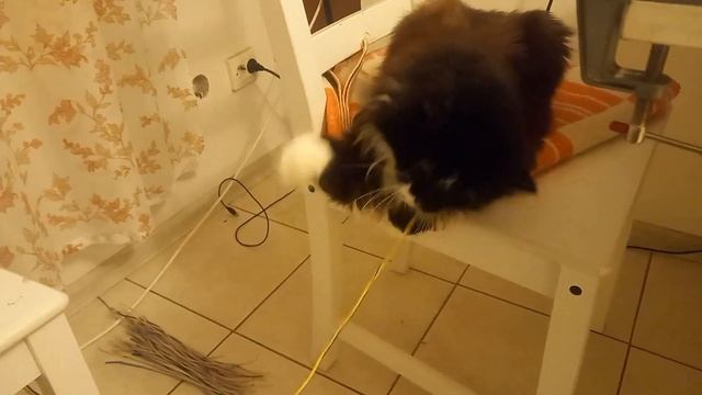 Способ чистки кабеля дома своими руками ДОБЫВАЮ МЕДЬ смотреть онлайн