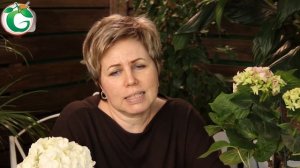 ТОП 10 СОРТОВ  ✔️ Гортензия крупнолистная ? Лучшие сорта для средней полосы