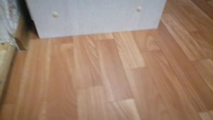 Как сделать клетку для декоративной крысы  своими руками