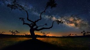 Учение Абрахама. Учение о воплощении желаний в жизнь. Просите – и дано вам будет.