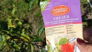 Коккомикоз!!! Филлостиктоз!!! Желтеют листья, покрываются коричневыми пятнами и опадают. ЛЕЧИМ!!!