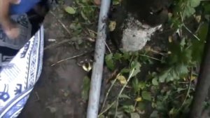 2016.02.11 _Спасатели Ингушетии_ спасение утят