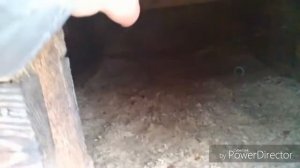 Как сделать дверцу для собачьей будки