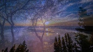 Эдгар Туниянц. Сборник прекрасных, трогательных мелодий для души!