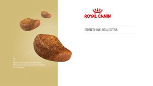 Корм  Роял Канин для Британских короткошерстных