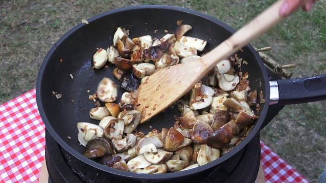 Лесные ГРИБЫ/БЕЛЫЕ по Немецки смотреть онлайн