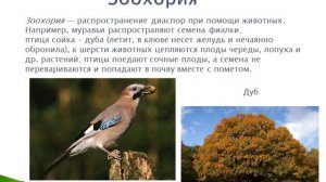 Комменсализм