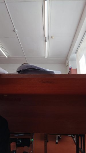 стрим из школы. мой первый стрим на рутуб!