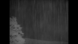 Ivan's Childhood - Andrei Tarkovsky