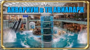 Аквариум в ТЦ Авиапарк