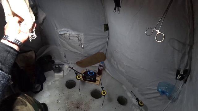 Озеро Салтаим. декабрь 2022 смотреть онлайн