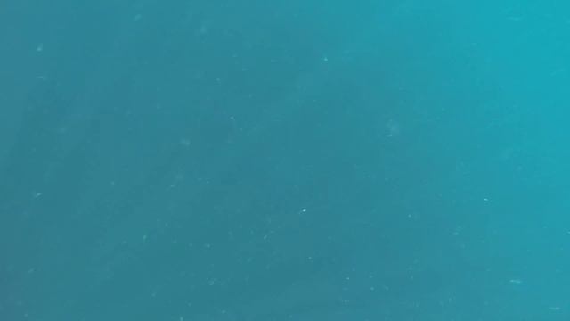 Крым 2016 | КАЯКИ БАЛАКЛАВА ИНЖИР смотреть онлайн