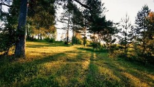 Природа Кировской области .Гора Чумбылат (Чембулат). Скала Часовой. Заказник Пижемский.