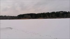 Рыбалка на Воронежском водохранилище, затон, Семилукские выселки, 10.01.2023 года