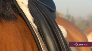 УНИВЕРСАЛЬНОЕ СИНТЕТИЧЕСКОЕ СЕДЛО SYNTHIA 17,5" FOUGANZA 8217691